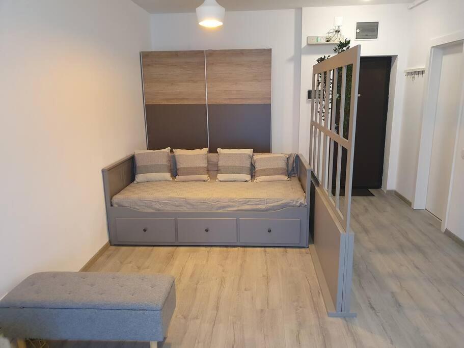New Luxury Flat Near City Center Lägenhet Timişoara Exteriör bild